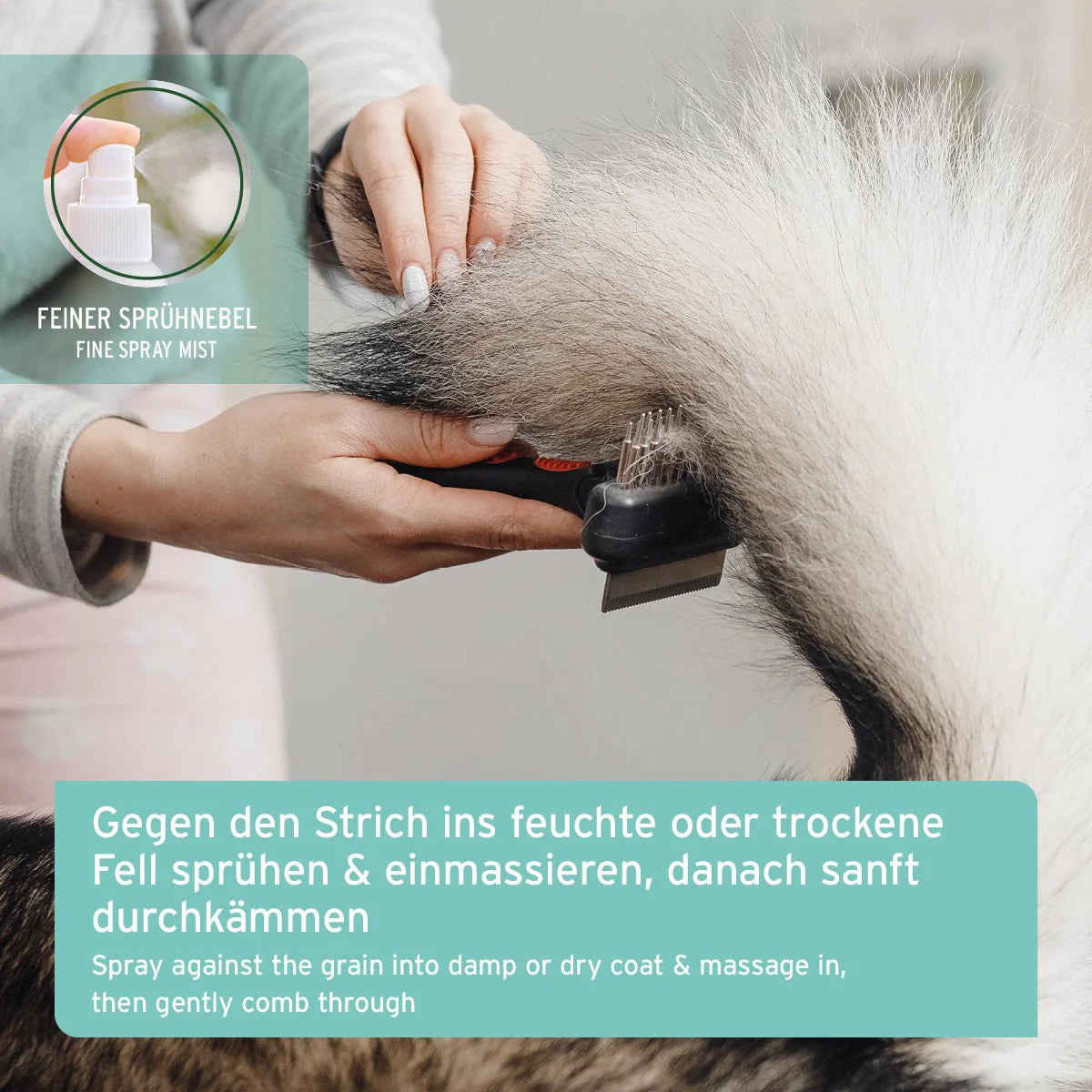 AniForte Pflegespray Kokos Natürliche Fellpflege für Hunde & Katzen