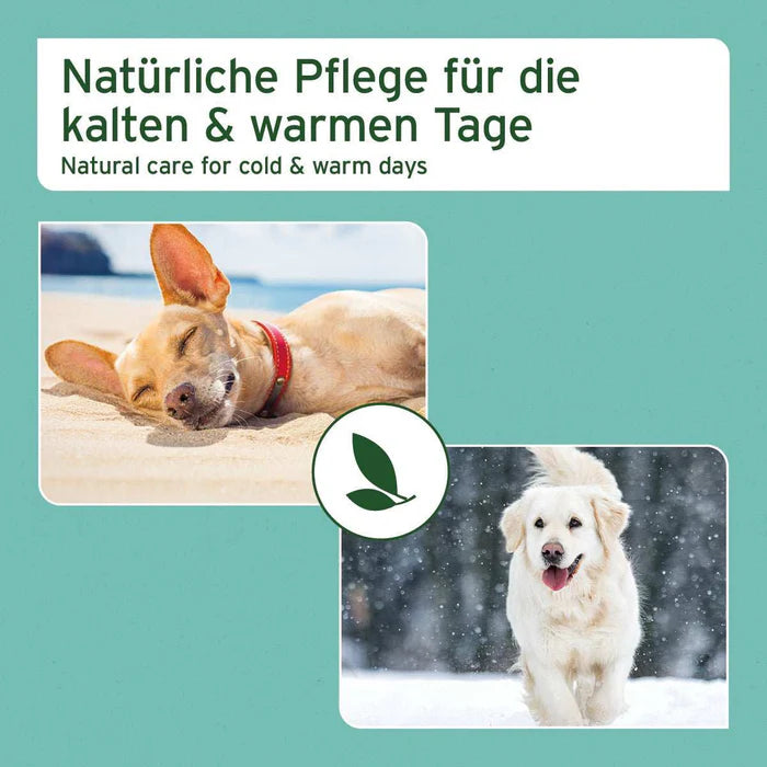 AniForte® Pfotenschutz Balsam – Natürlicher Rundumschutz für Hund & Katze