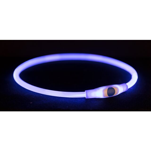 Trixie Flash Leuchtring, Hunde-Leuchthalsband mit USB-Anschluss, bis zu 8 Stunden Dauerlicht
