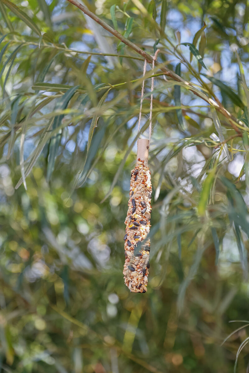 Vogel Futterstange mit Sonnenblumenkernen