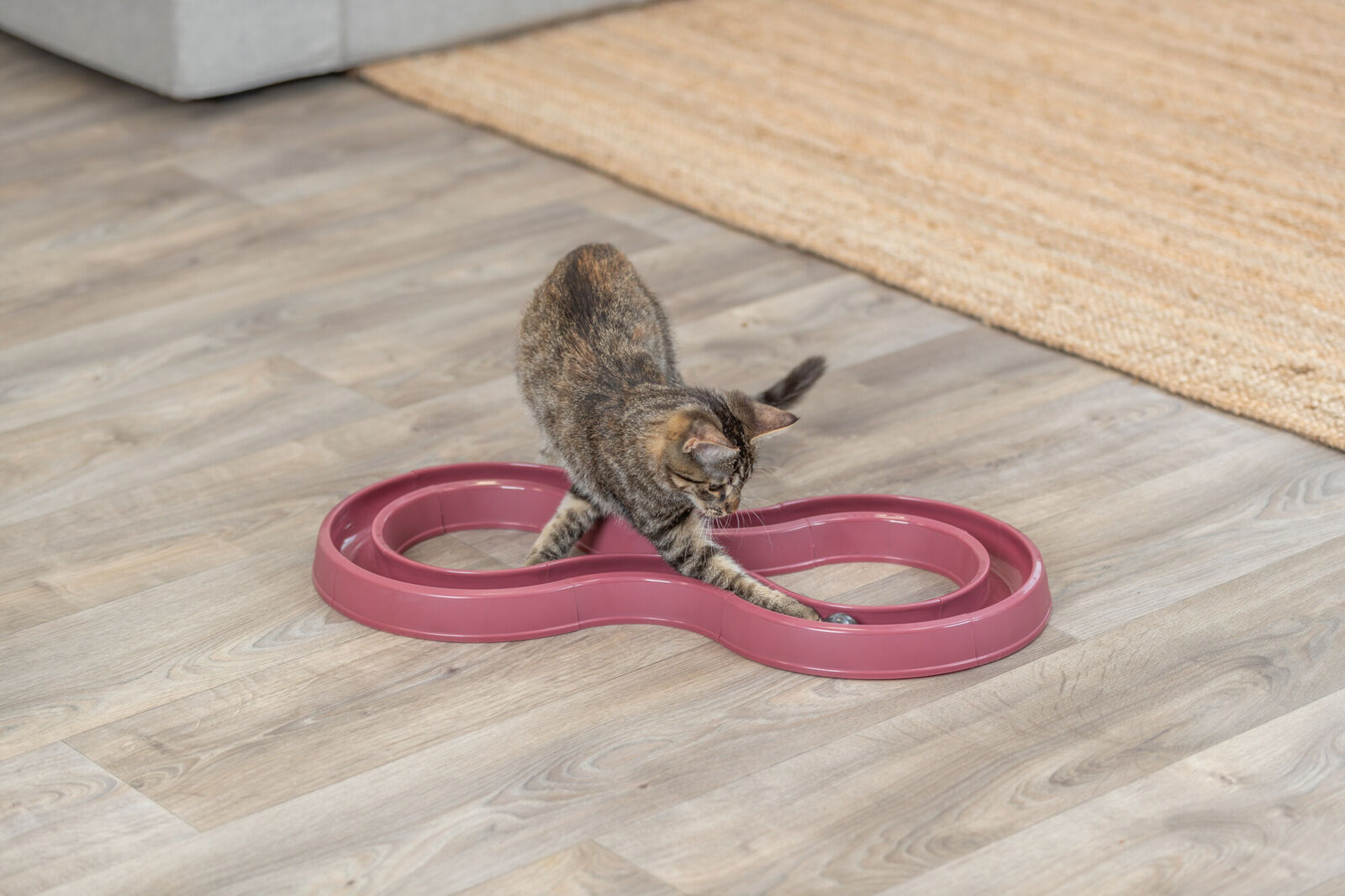 Trixie Flashing Ball Race – Leuchtender Spielspaß für aktive Katzen