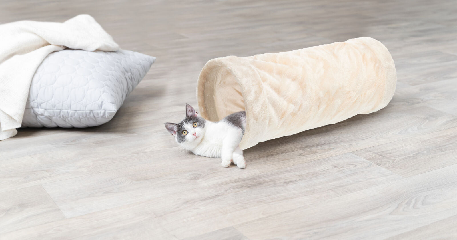Trixie Spieltunnel aus Plüsch Kuscheliger Katzentunnel mit Raschelfolie für Spielspaß