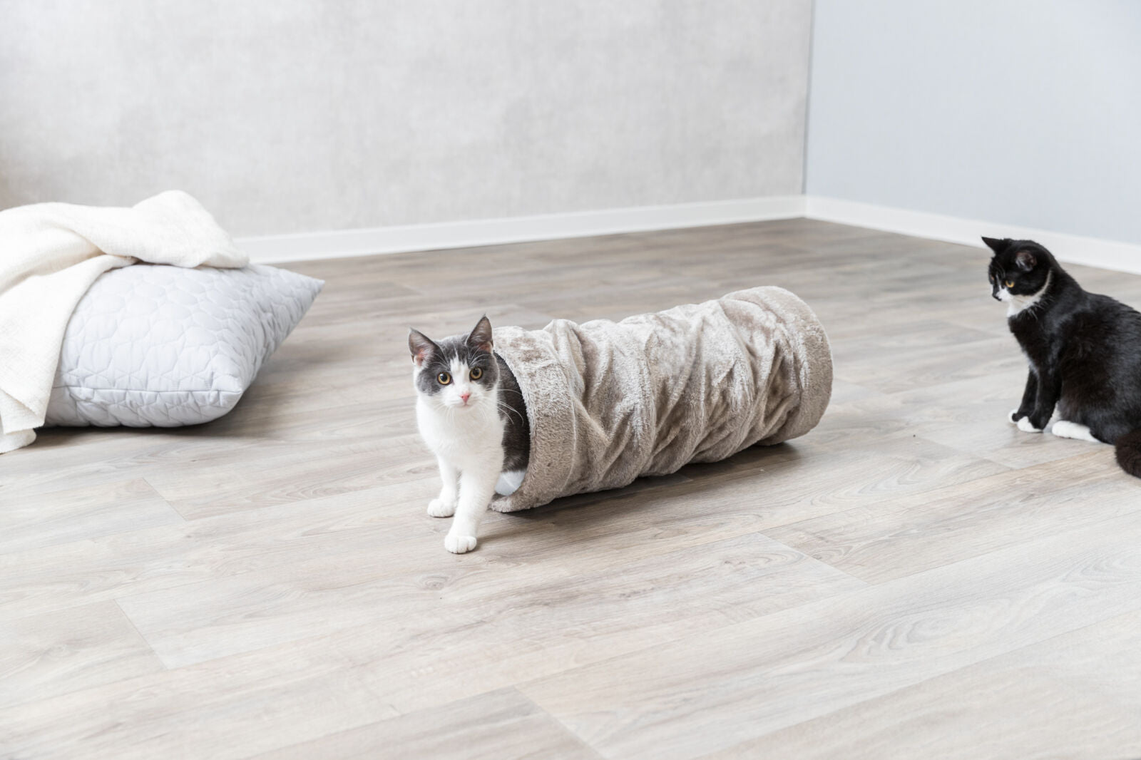 Trixie Spieltunnel aus Plüsch Kuscheliger Katzentunnel mit Raschelfolie für Spielspaß