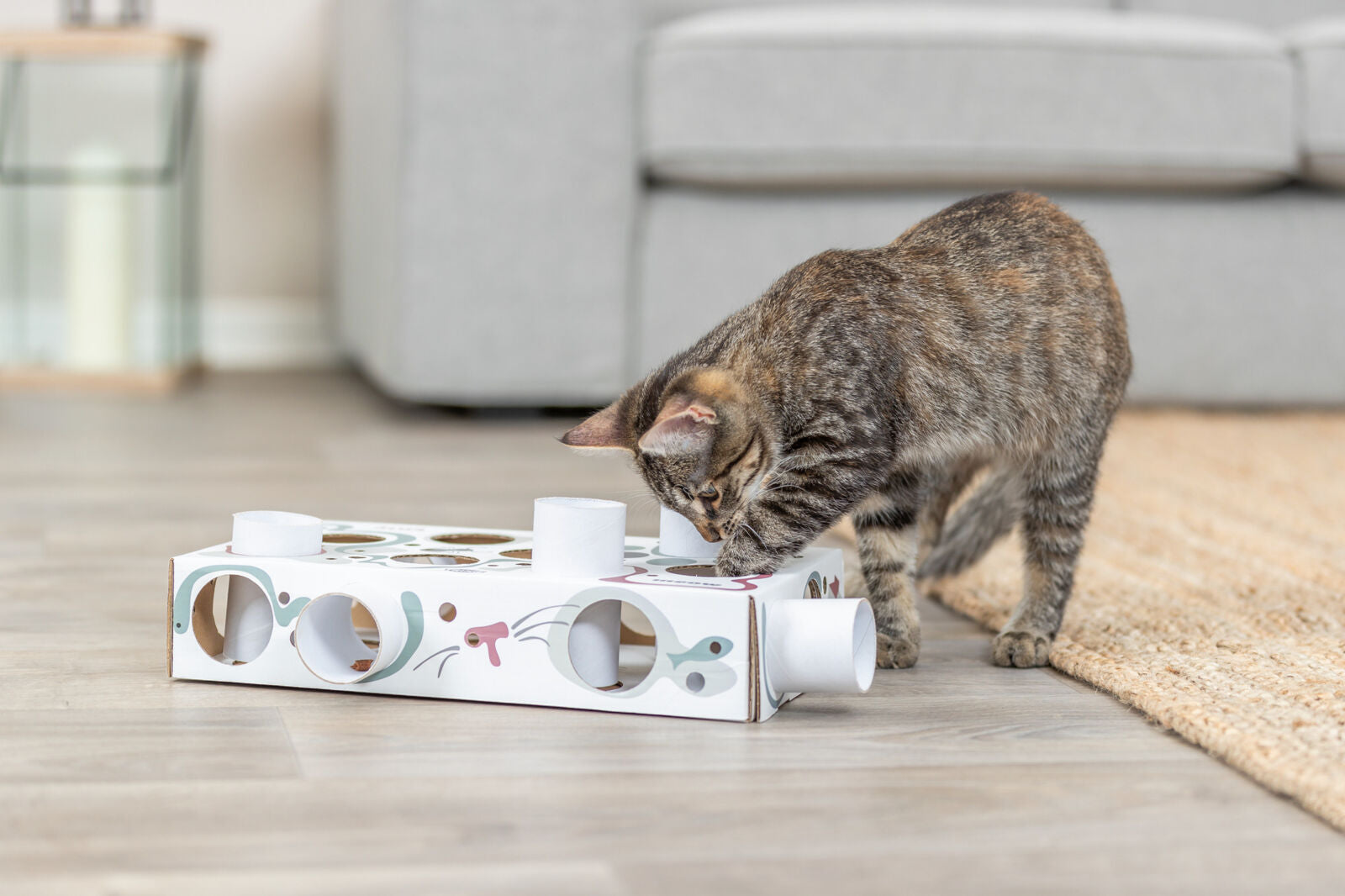 Trixie Paws'n'Treats Box – Spiel & Snackspaß für Katzen