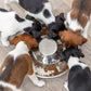 Welpenapf, Puppy Feeding Dish, Futternapf für Welpen und Kitten, Edelstahl spülmaschinengeeignet