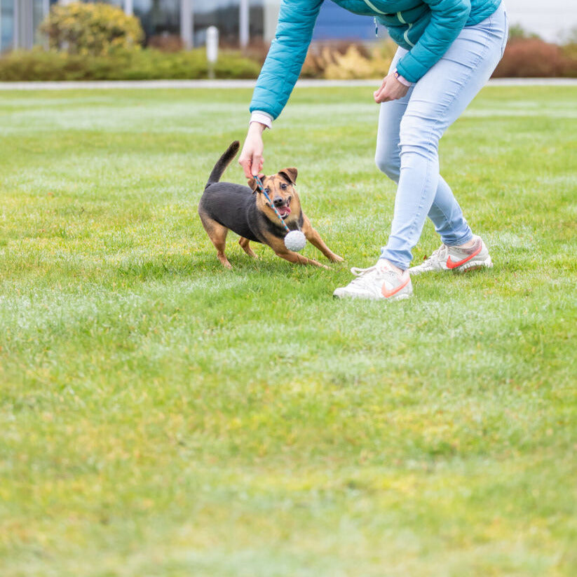 Trixie Ball mit Schnur Hundespielzeug Gummiball Wurfspielzeug Beißspielzeug Hund