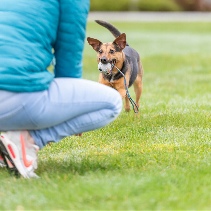 Trixie Ball mit Schnur Hundespielzeug Gummiball Wurfspielzeug Beißspielzeug Hund