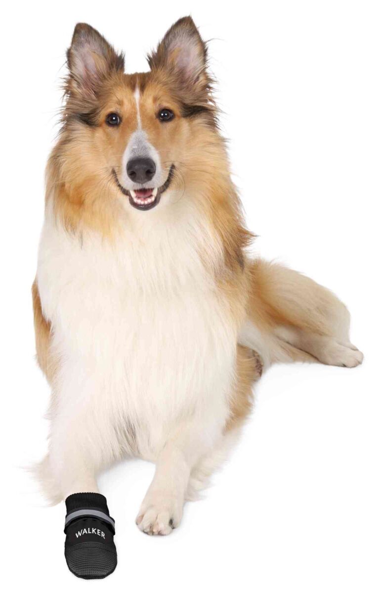 Trixie Walker Care Comfort Pfotenschutz für Hunde