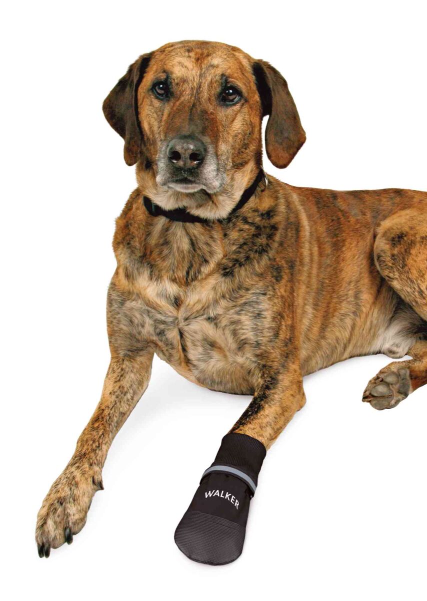 Trixie Walker Care Comfort Pfotenschutz für Hunde