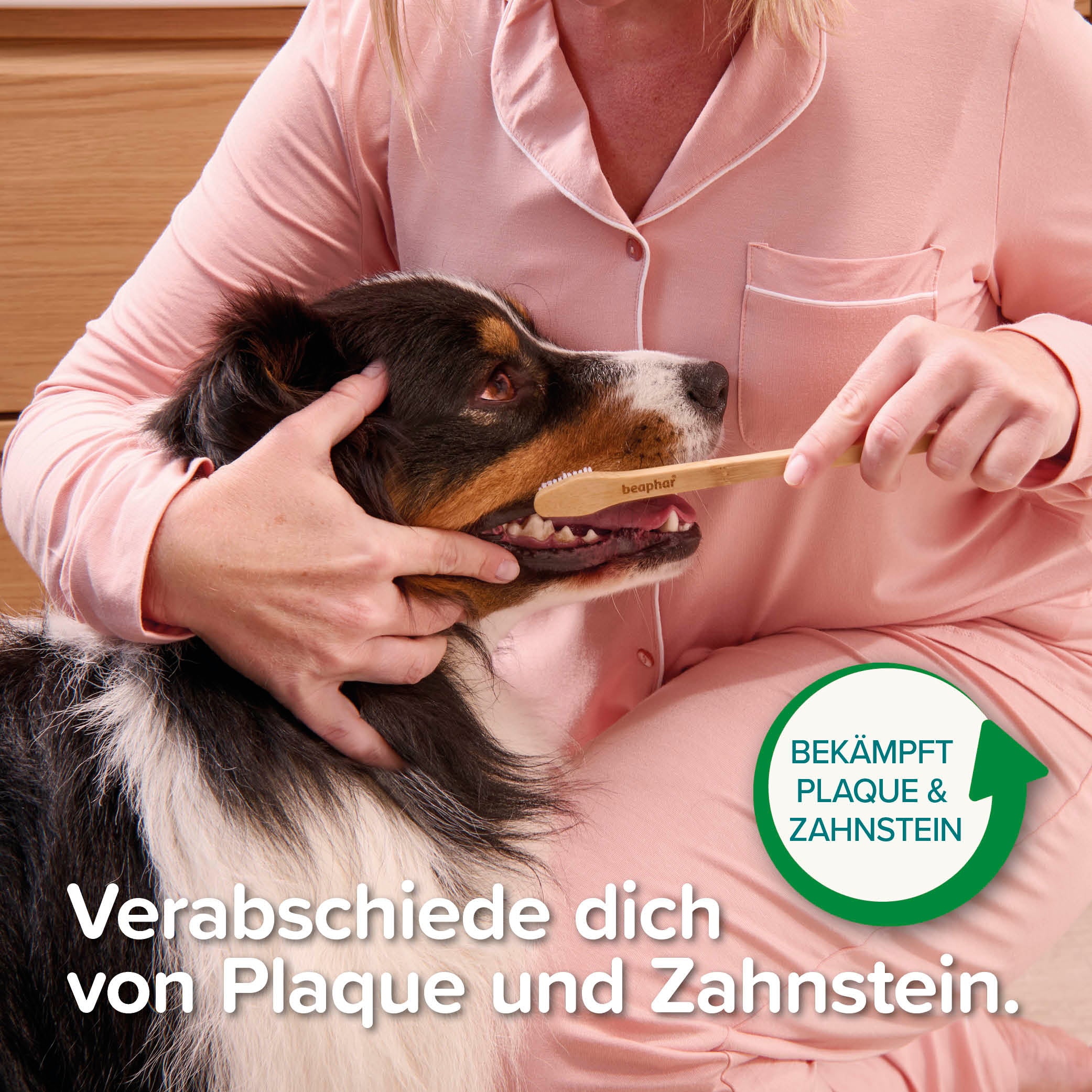 Beaphar Bambus-Zahnbürste für Hunde & Katzen – gegen Plaque und Zahnstein