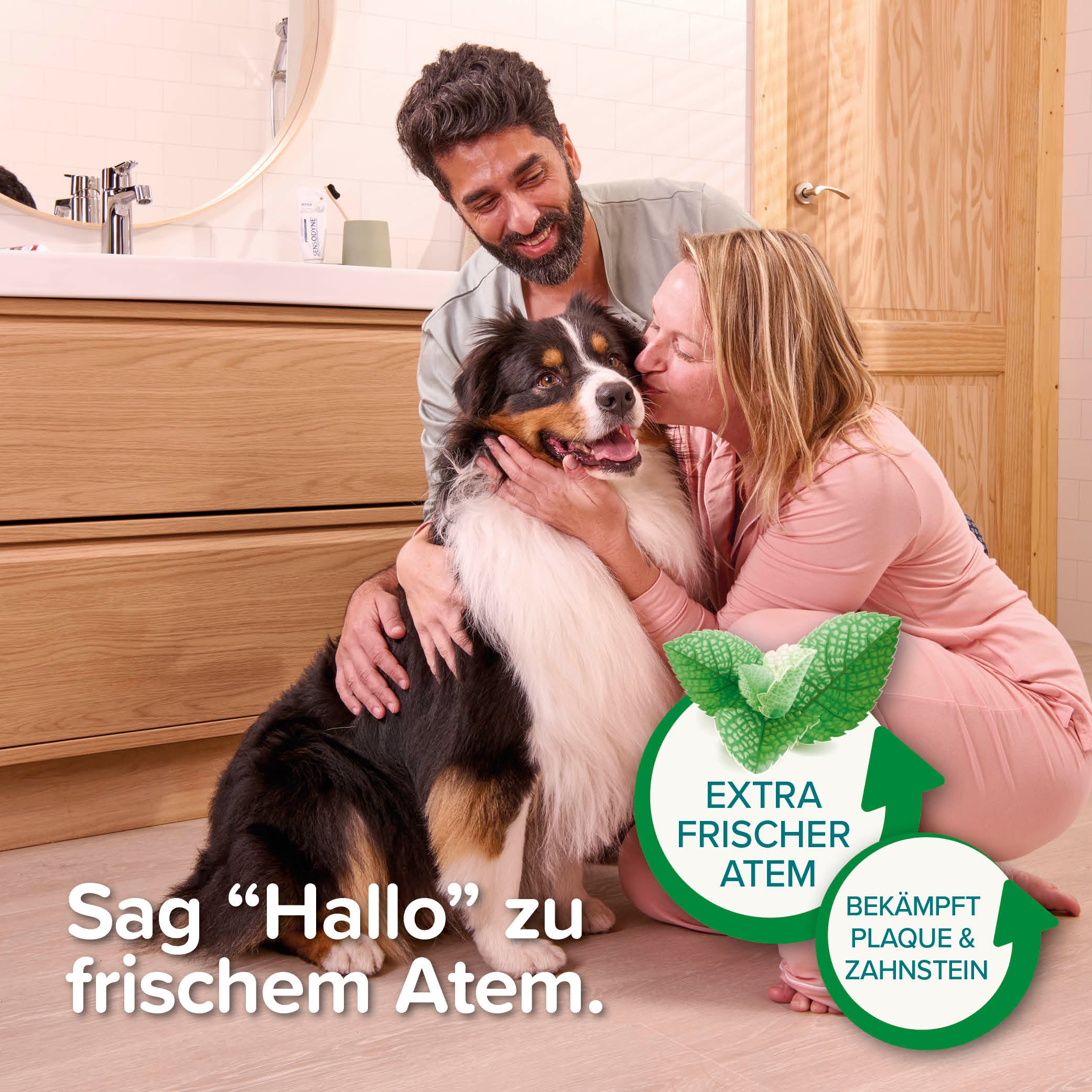 Beaphar Zahnpasta Toothpaste mit Leber- oder Minzgeschmack für Hunde und Katzen 100g