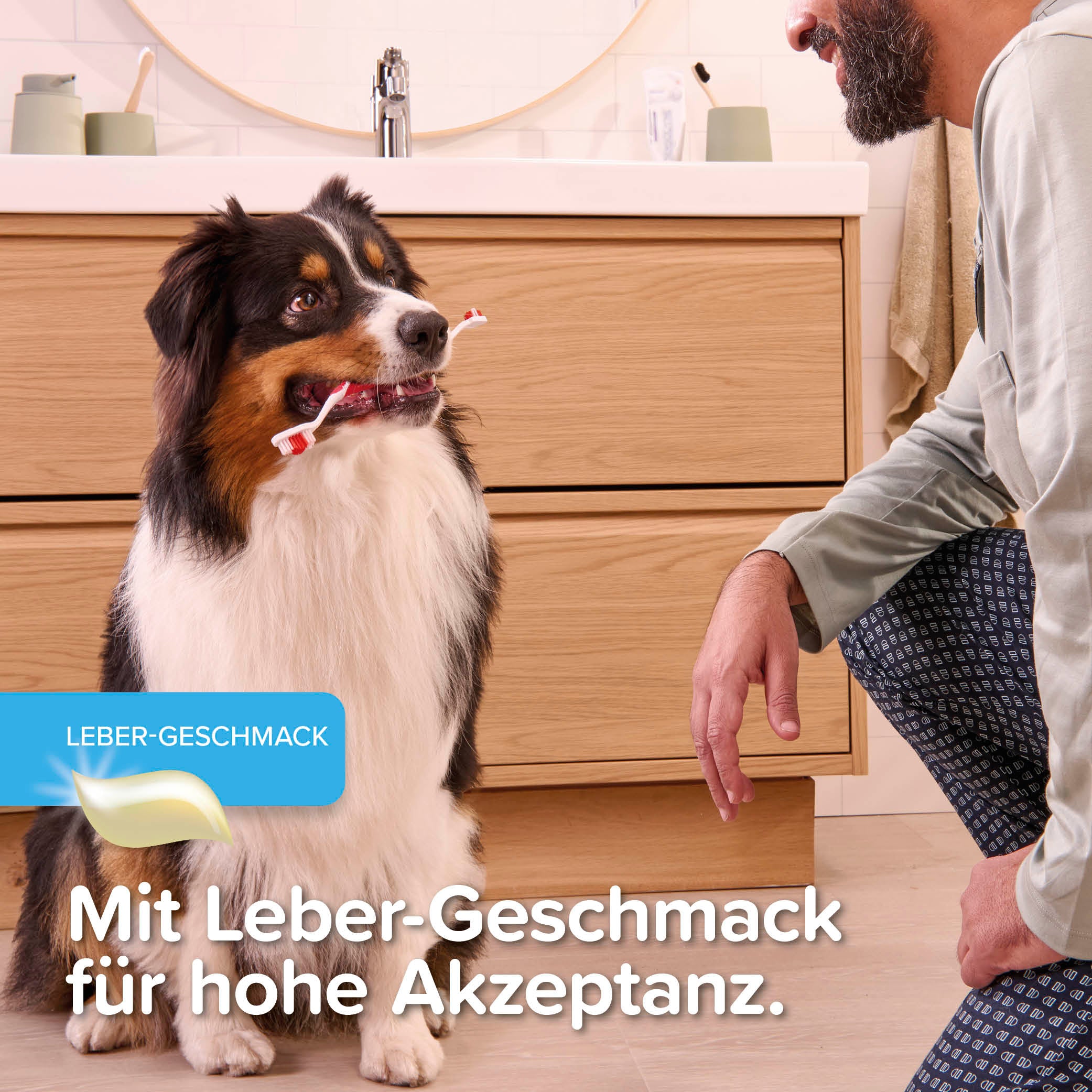 Beaphar Zahnpasta Toothpaste mit Leber- oder Minzgeschmack für Hunde und Katzen 100g
