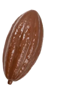 TUFFS x Dog Life Choccy mit Duft – Kakao-Quietschspielzeug für Hunde