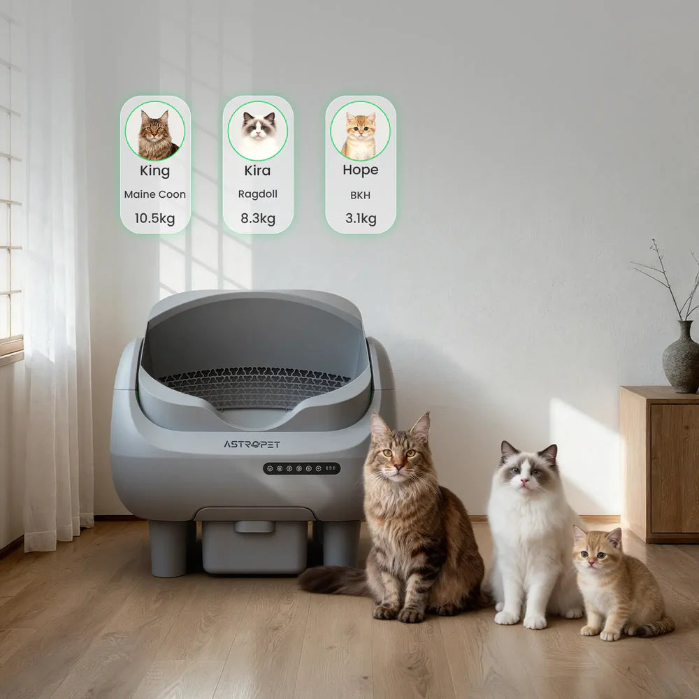AstroPet Venus – Selbstreinigende Katzentoilette