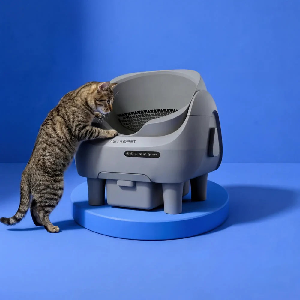 AstroPet Venus – Selbstreinigende Katzentoilette