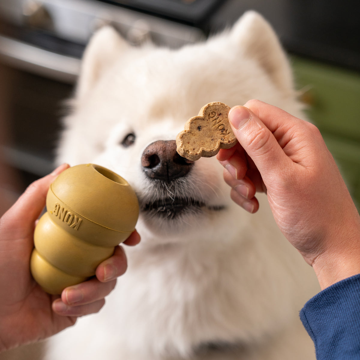 Coming Soon - KONG Snacks – Leckerli - für KONG Hundespielzeug