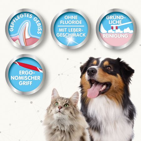 Beaphar Zahn-Pflege-Set Zahnpasta und Bürste, gründliche Reinigung von Hunde- und Katzenzähnen