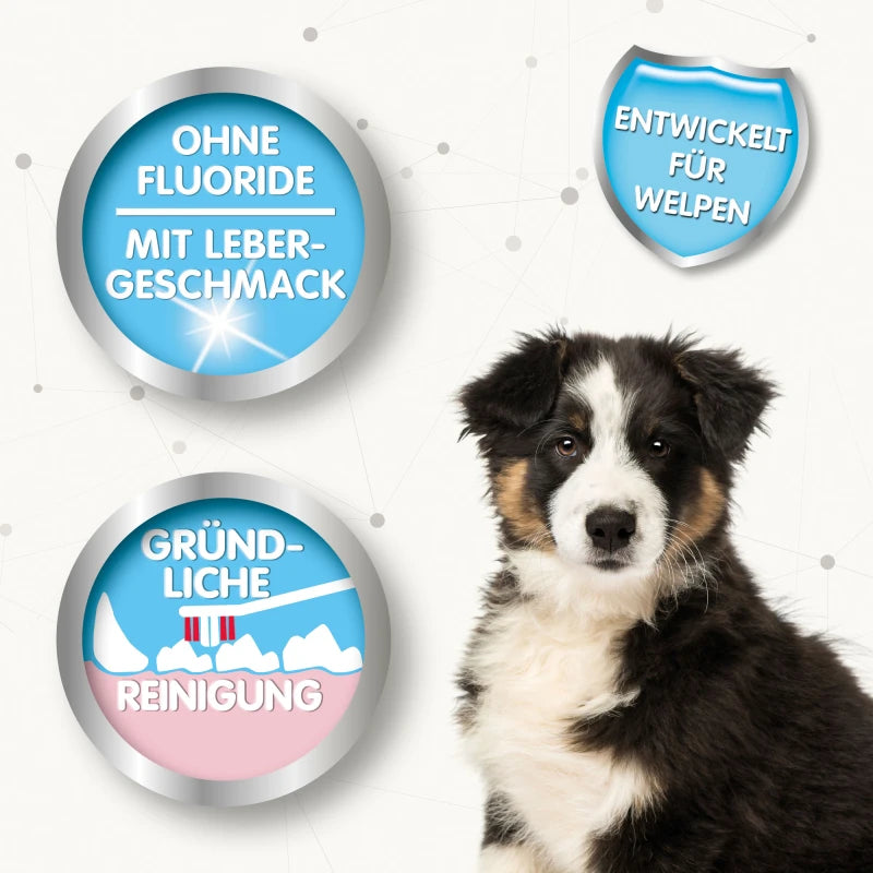 Beaphar Zahnpflege Set für Welpen und kleine Hunde, Puppy Dental Kit, 2-teilig