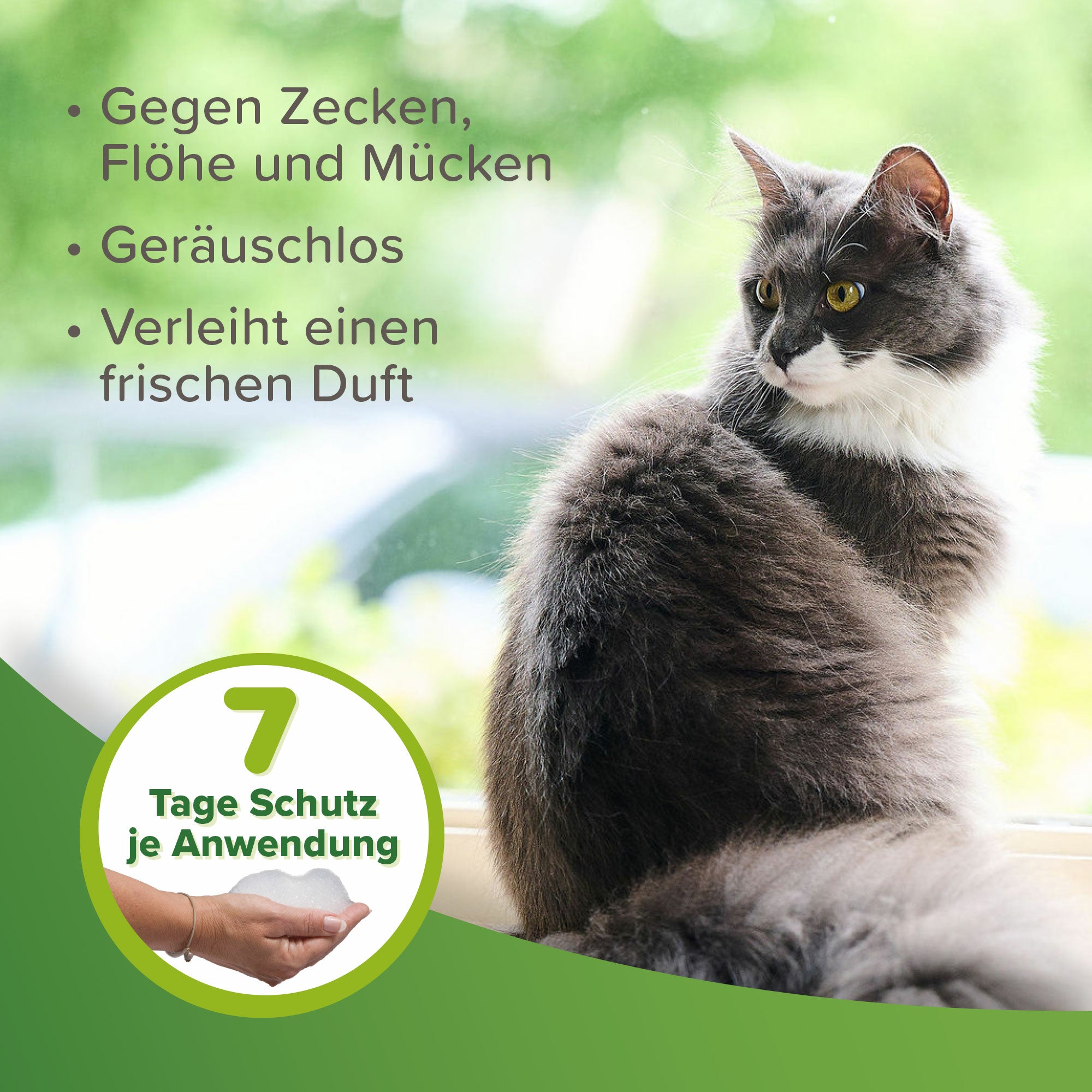 Beaphar Zecken- und Flohschutz Shampoo für Tiere ab 12 Wochen, hält Zecken, Flöhe und Mücken fern, 250ml
