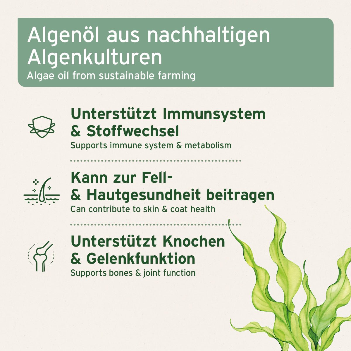 AniForte Algenöl Omega-3 für Haut & Stoffwechsel Vegan Hund, Katze, Pferd 50ml