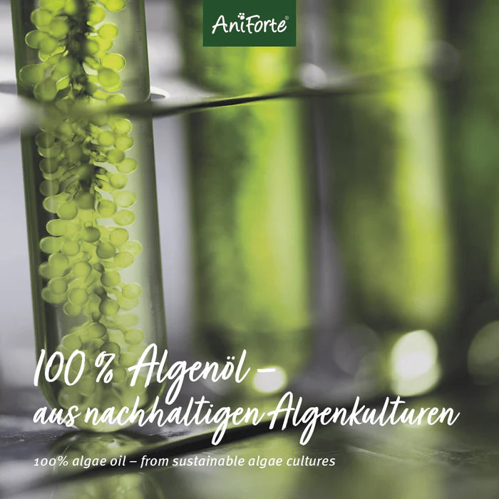 AniForte Algenöl - Veganes Omega-3 für Haut & Haar und zur Unterstützung des Stoffwechsels Hund, Katze, Pferd 50ml
