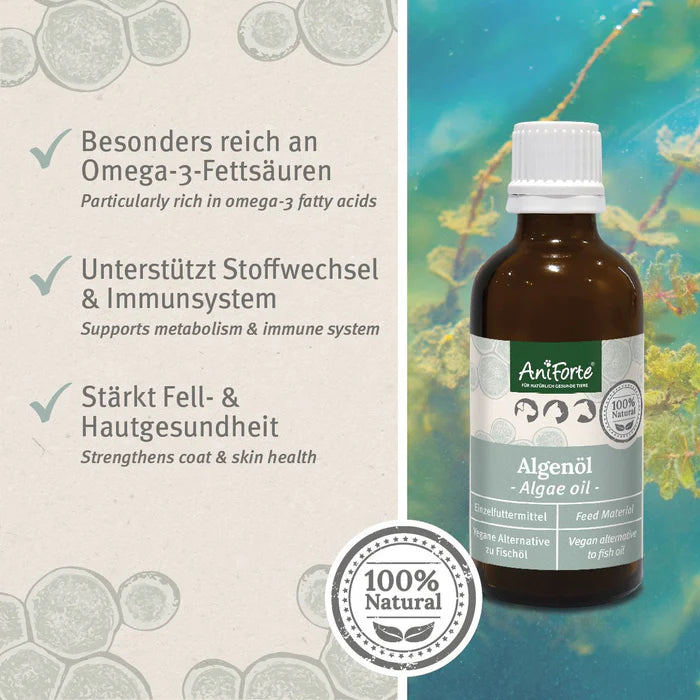 AniForte Algenöl - Veganes Omega-3 für Haut & Haar und zur Unterstützung des Stoffwechsels Hund, Katze, Pferd 50ml