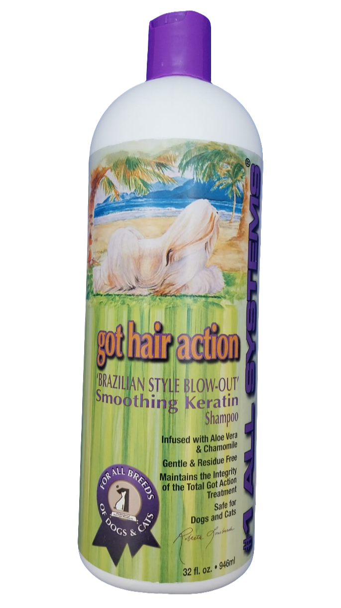 #1 All Systems got hair action Brazilian Style Blow-out Shampoo 946ml Fellpflege