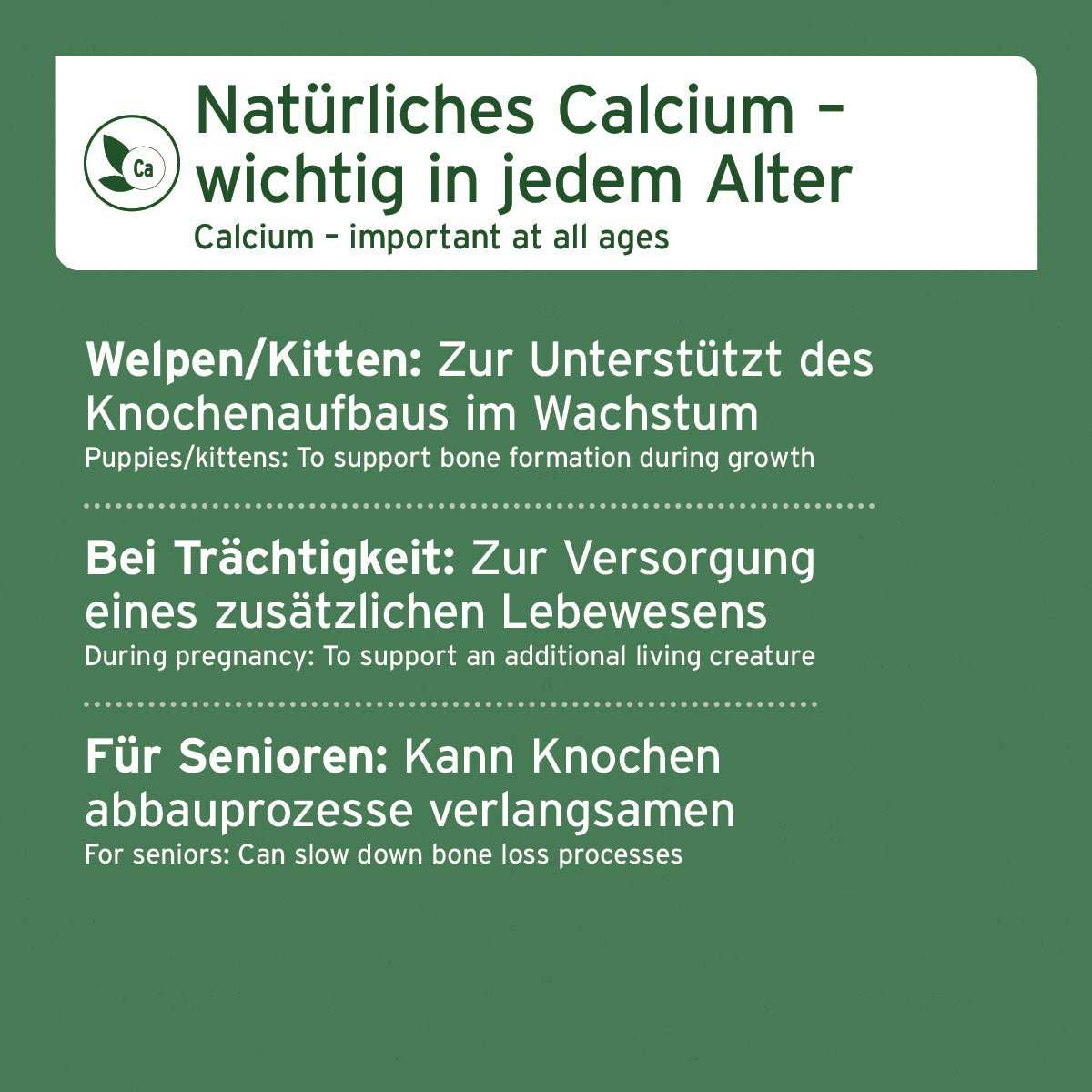 Calciumquelle für BARF – gemahlene Knochen vom Pferd im Napf