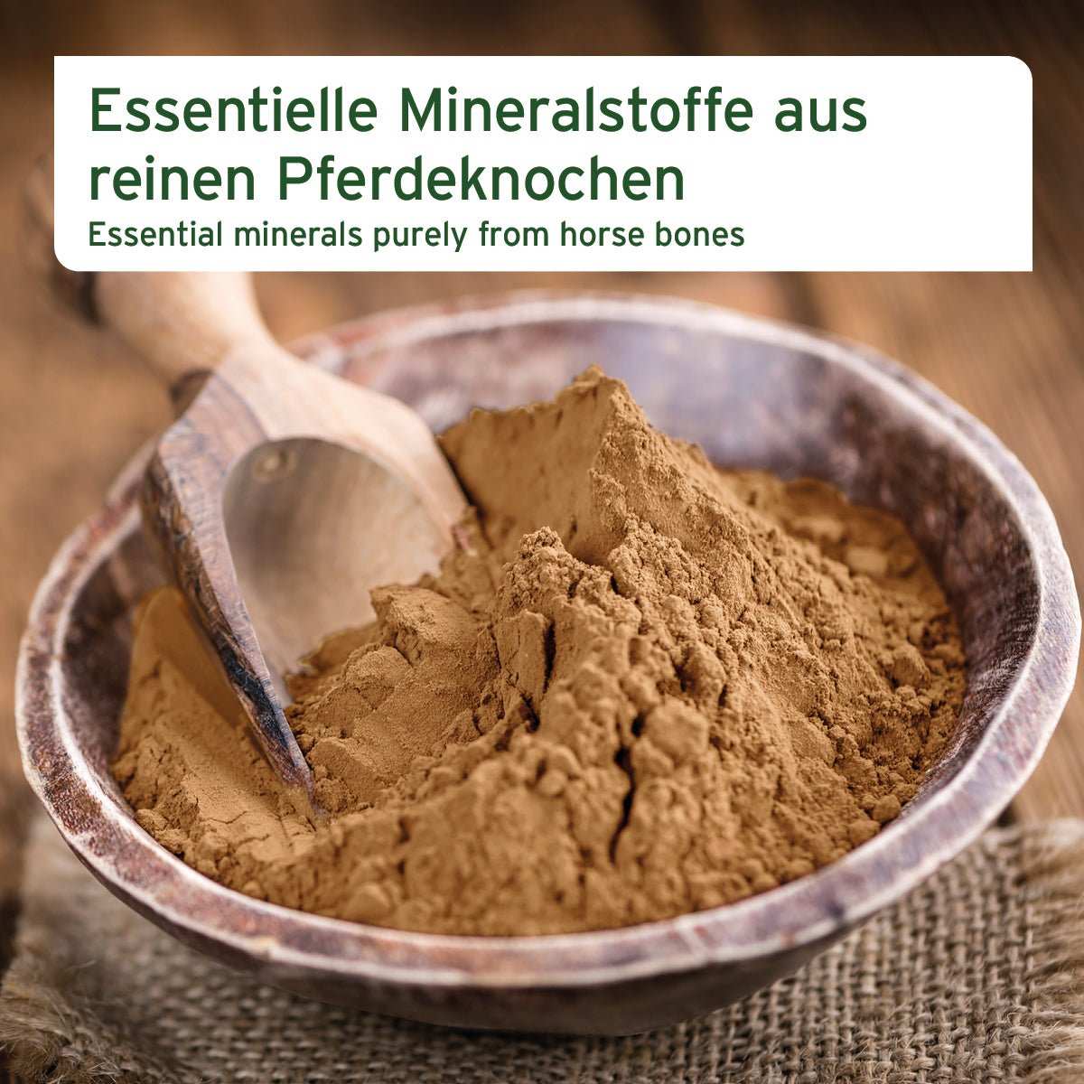 Gemahlene Pferdeknochen als feines Calciumpulver für Hunde und Katzen