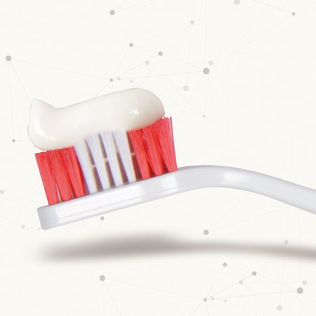 Beaphar Zahnbürste mit speziellem Borstenschnitt für gründliche und schonende Reinigung