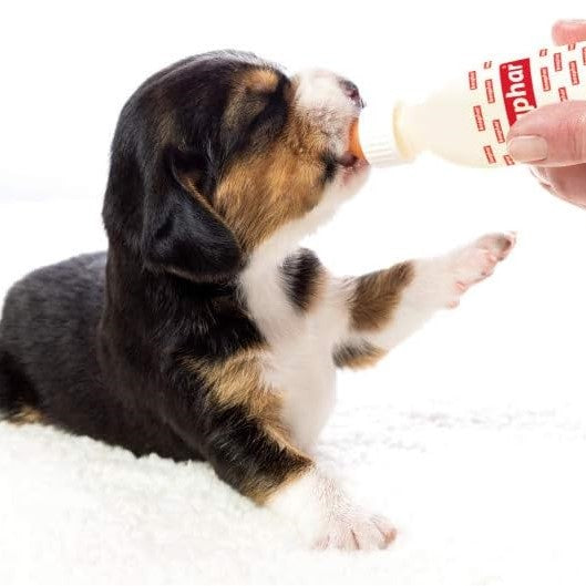 Beaphar Lactol Puppy-Milk, Welpenmilch,  Aufbaunahrung für geschwächte Hunde und Muttertiere