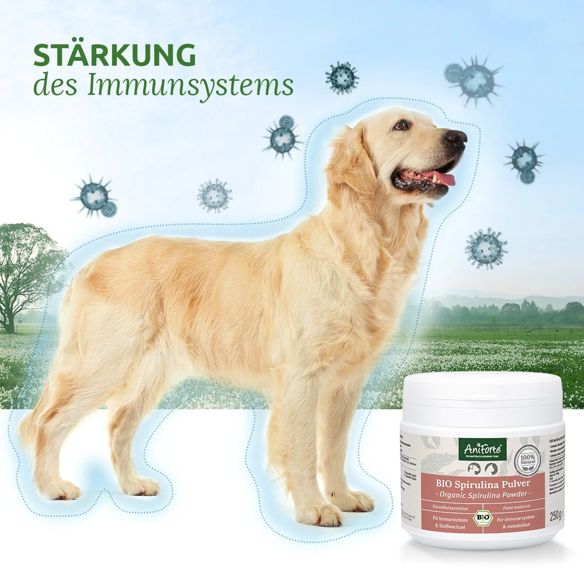 AniForte Bio Spirulina Pulver, Natürliche Proteinquelle für Hunde und Katzen, 250 g
