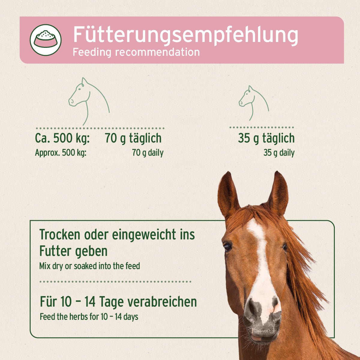 Aniforte Bronchial Kräuter natürliche Atemwegs- & Immunstütze für Pferde