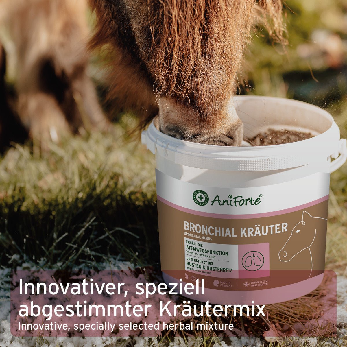 Aniforte Bronchial Kräuter natürliche Atemwegs- & Immunstütze für Pferde