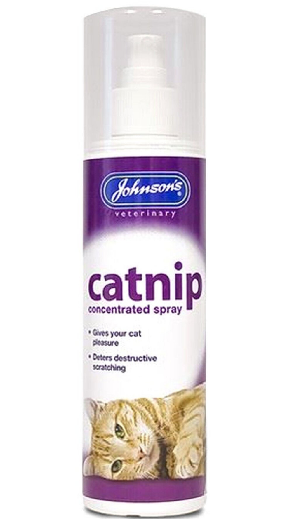 Johnson‘s Catnip Katzenminze konzentriertes Spray 150ml Katzenspielzeug Minze