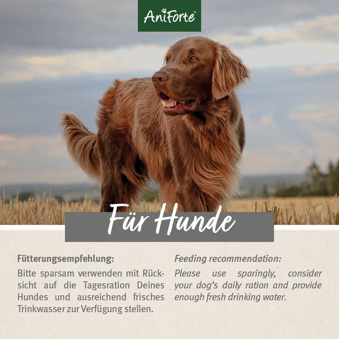 AniForte Dog Snacks Obst & Gemüse, vegetarische Leckerli für Training & Belohnung, 100 % Obst & Gemüse, 150g