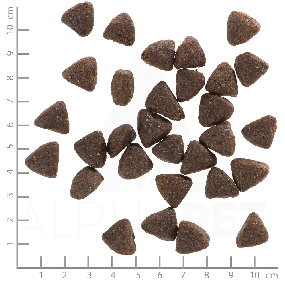 Wolfsblut Wild Boar Adult Wildschwein Kartoffel ohne Getreide