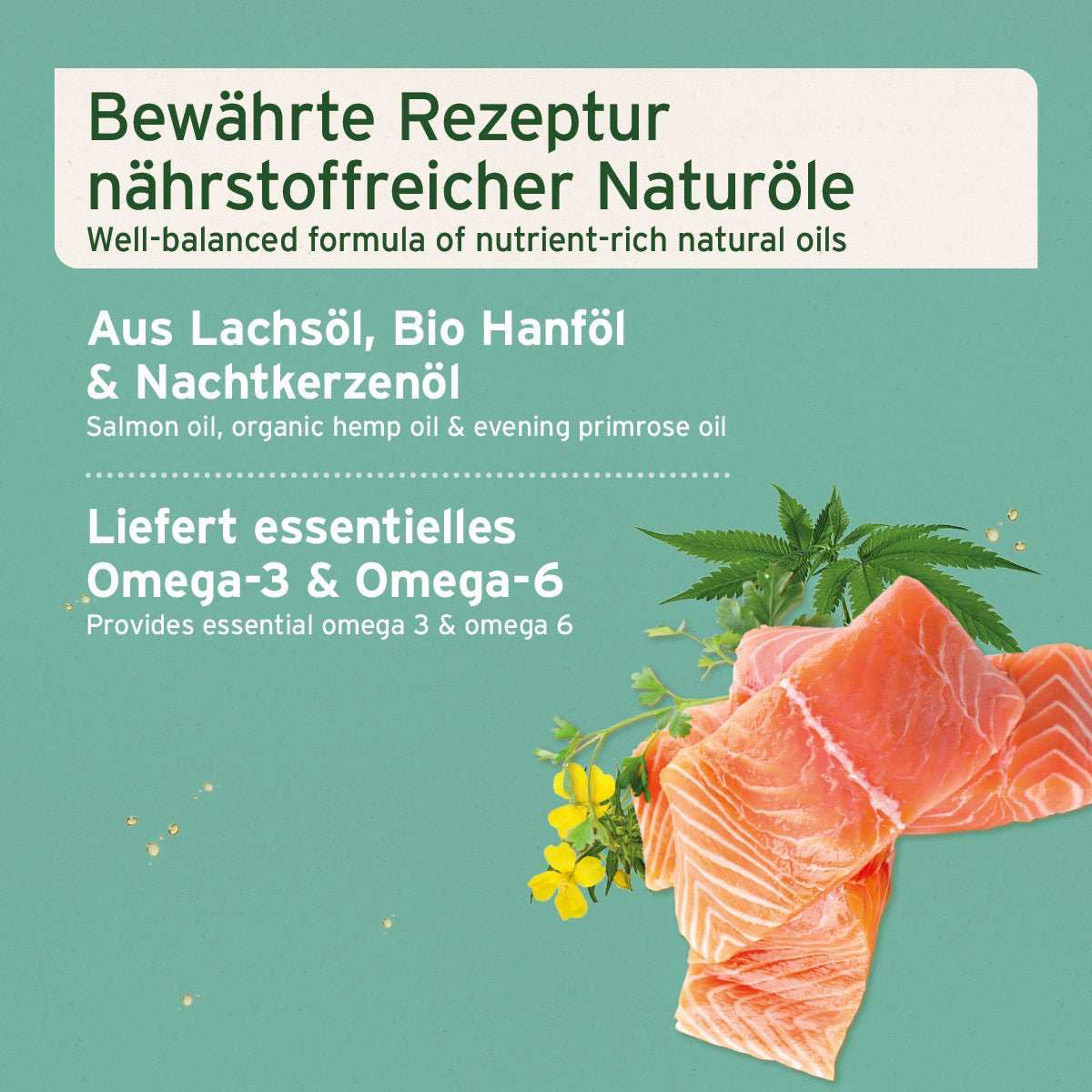 AniForte Fellharmonie Futteröl – Ansicht 3