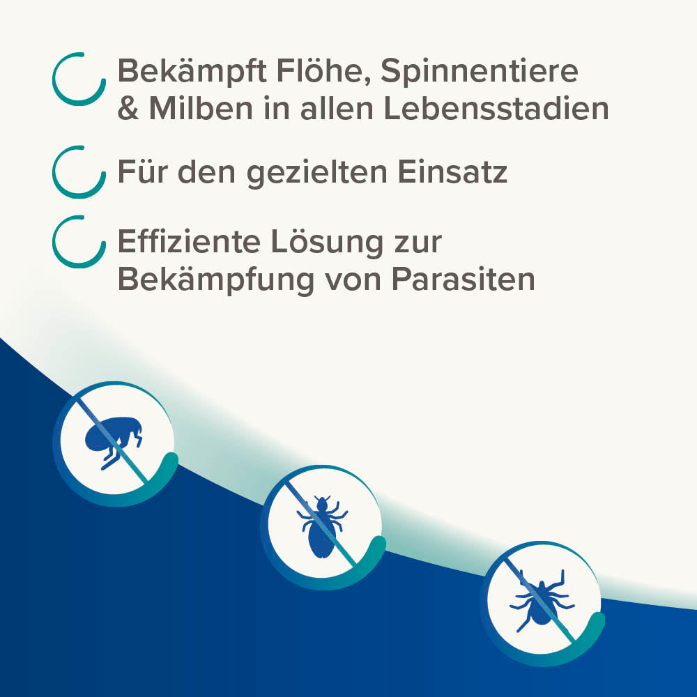 Beaphar Dimethicare Anti-Floh Fogger für Wohnungen und Tierumgebungen, 200ml