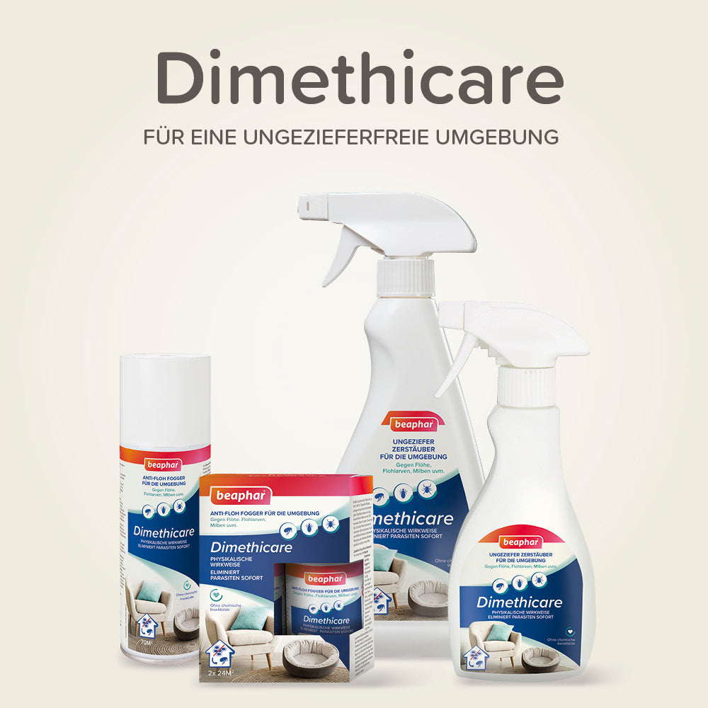 Beaphar Dimethicare Anti-Floh Fogger für Wohnungen und Tierumgebungen, 200ml