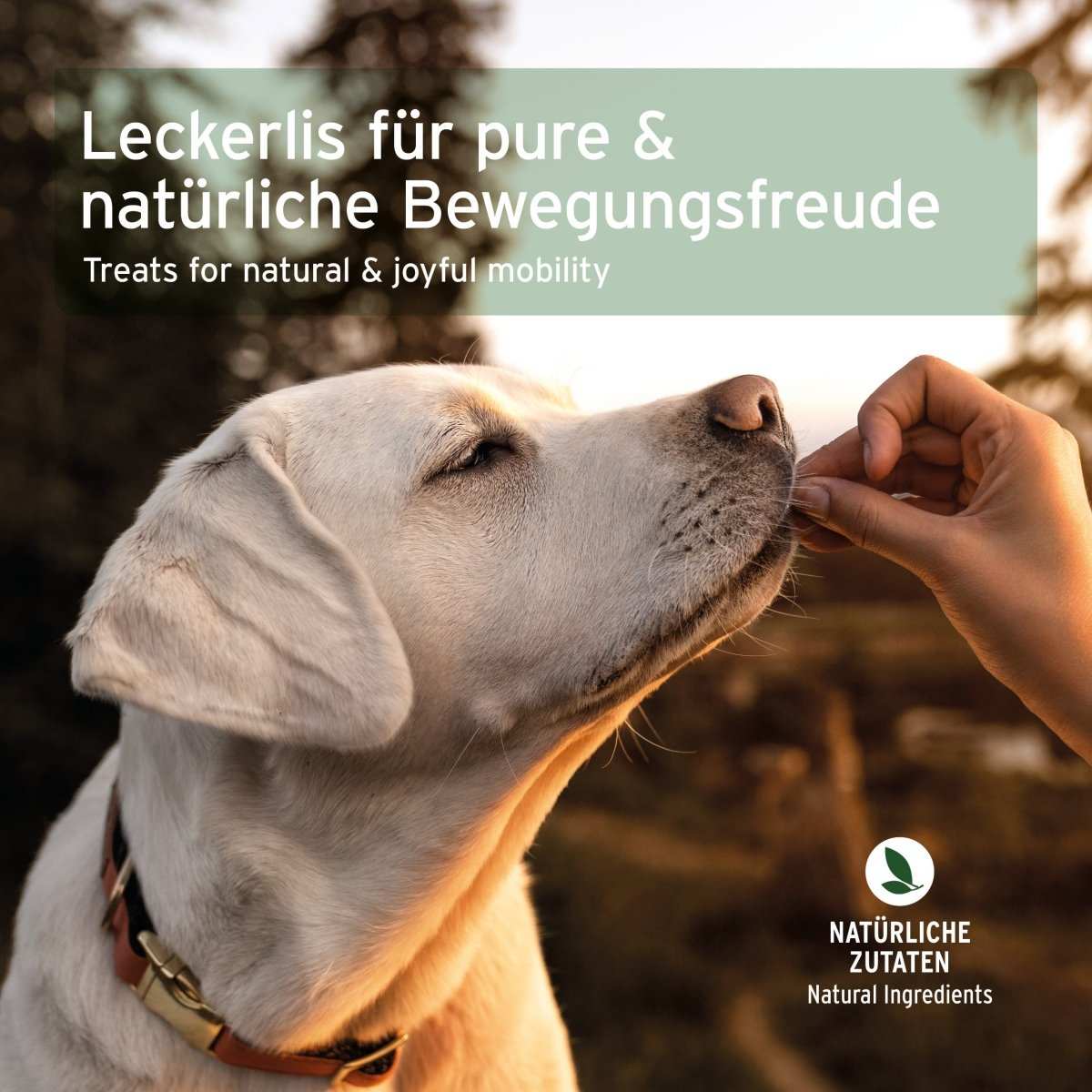AniForte Gelenk Snack für Hunde – Ansicht 5