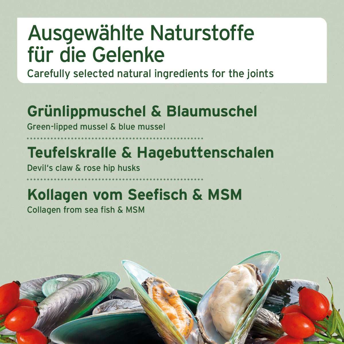AniForte Gelenk Snack für Hunde – Ansicht 3