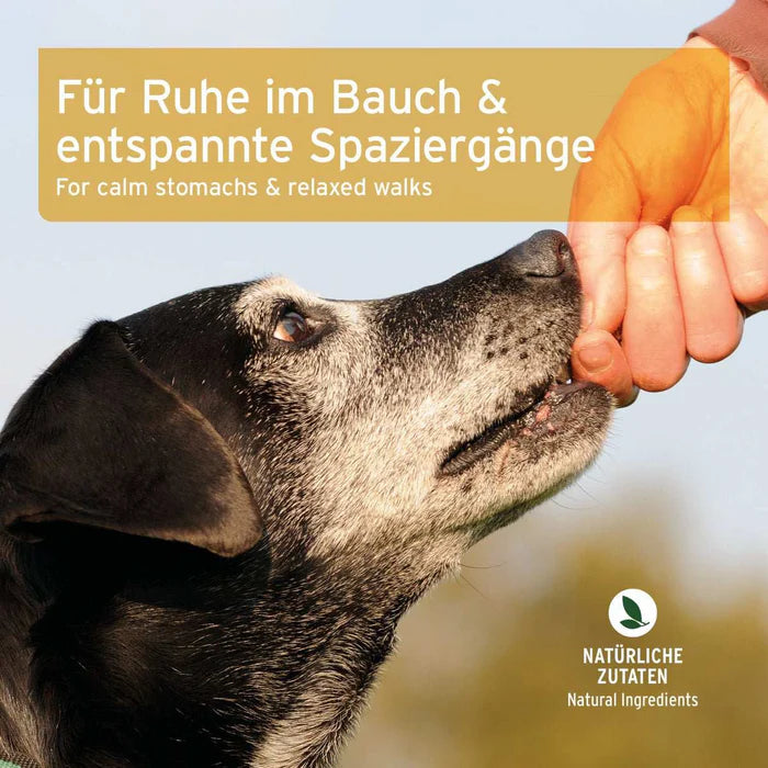 AniForte Gras- & Kotfresser Snack für Hunde reguliert übermäßige Magensäure 300g