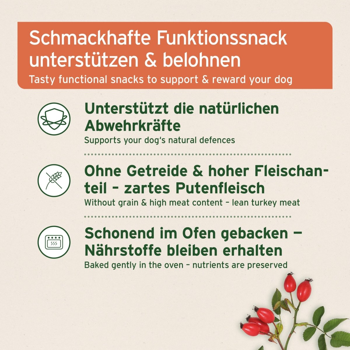AniForte Immun-Boost Snack - stärkt die normale Immunfunktion von Hunden jeden Alters