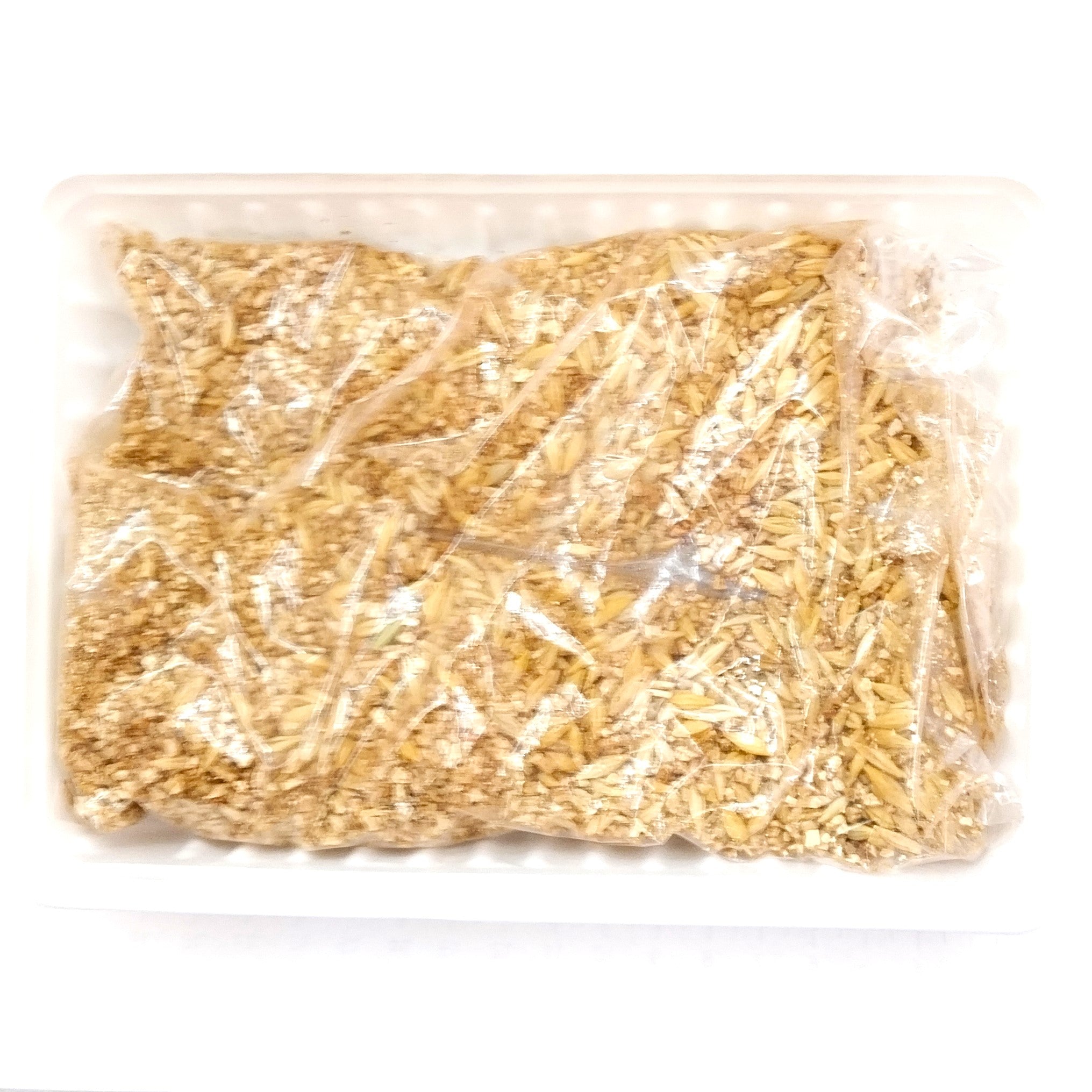 Trixie Katzengras, Gerstensaat als natürliche Verdauungshilfe zum Selbstziehen, 100g
