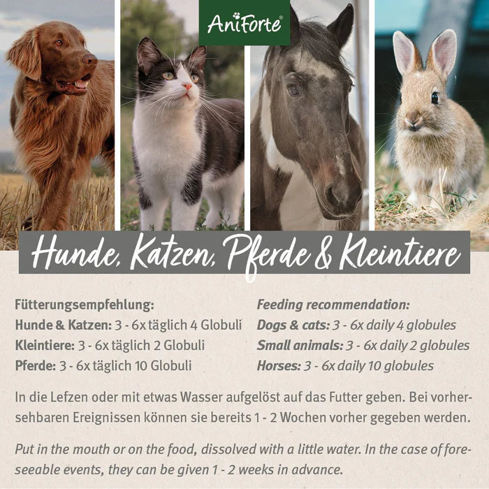 AniForte Bachblüten Gewitter & Silvester, pflanzliche Globuli nach alter traditioneller Rezeptur 15g