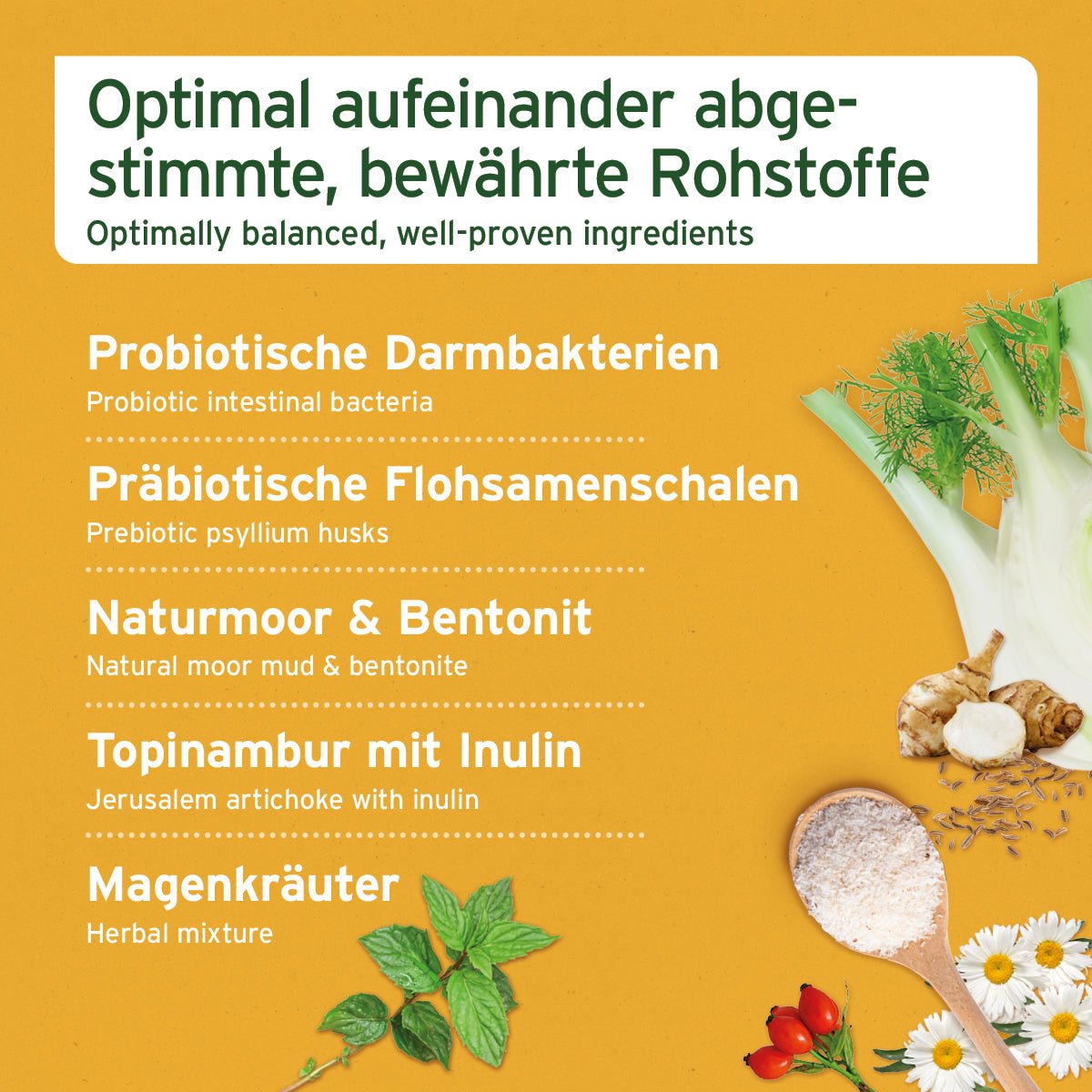 AniForte Magen & Darm Snack für Hunde – Natürliche Unterstützung der Verdauung