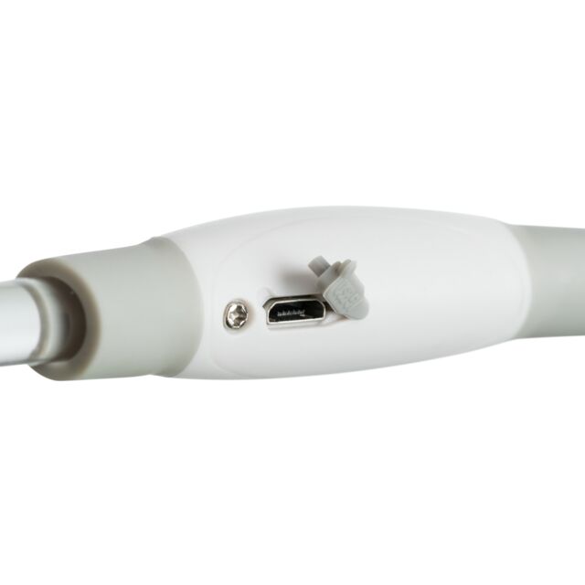 Trixie Flash Leuchtring, Hunde-Leuchthalsband mit USB-Anschluss, bis zu 8 Stunden Dauerlicht