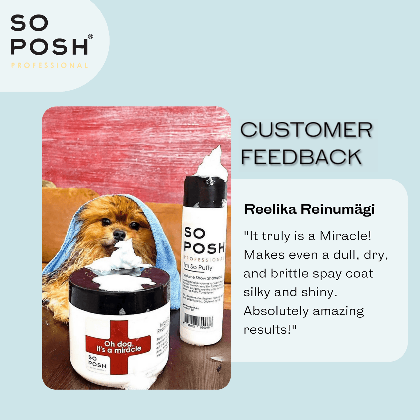 So Posh Oh Dog, It's a Miracle Intensive Repair Mask Reparierende Pflege für Hunde
