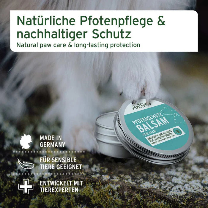AniForte® Pfotenschutz Balsam – Natürlicher Rundumschutz für Hund & Katze